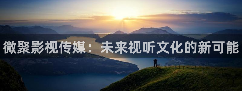 妈妈的朋友奇奇影院：微聚影视传媒：未来视听文化的新可能