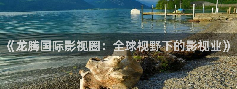 777米奇奇米在线影院：《龙腾国际影视圈：全球视野下的影视业》