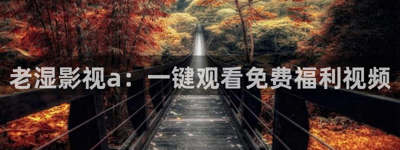 奇奇电影：老湿影视a：一键观看免费福利视频