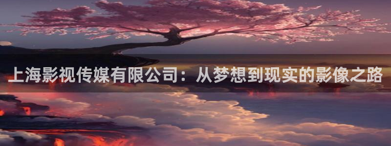 奇奇影院官网：上海影视传媒有限公司：从梦想到现实的影像之路