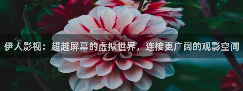 奇奇影院免费版看电视剧：伊人影视：超越屏幕的虚拟世界，连接更广阔的观影空间