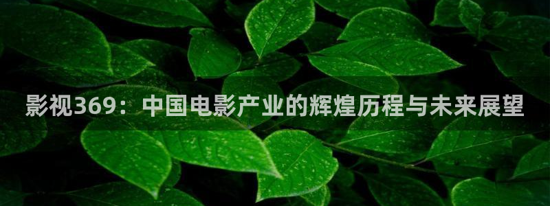 奇奇影院免费版看电视剧：影视369：中国电影产业的辉煌历程与未来展望