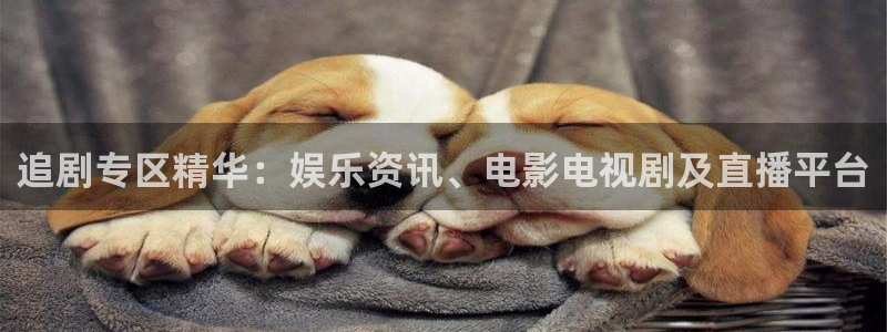 奇奇影院免费观看：追剧专区精华：娱乐资讯、电影电视剧及直播平台