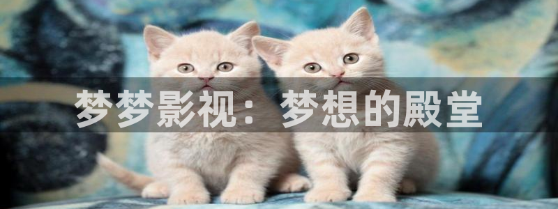 免费观看奇奇影院：梦梦影视：梦想的殿堂