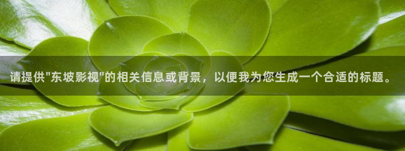 奇奇影院午夜网：请提供\